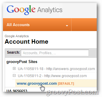 „Google Analytics“ prisijungimas prie svetainės