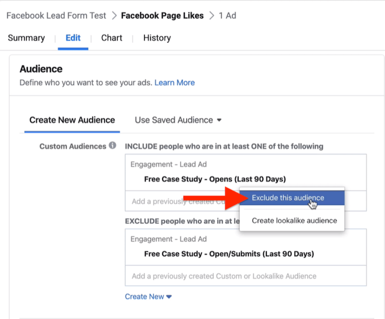 Išskirkite šią auditorijos parinktį „Facebook“ kampanijos sąrankos skiltyje „Auditorija“