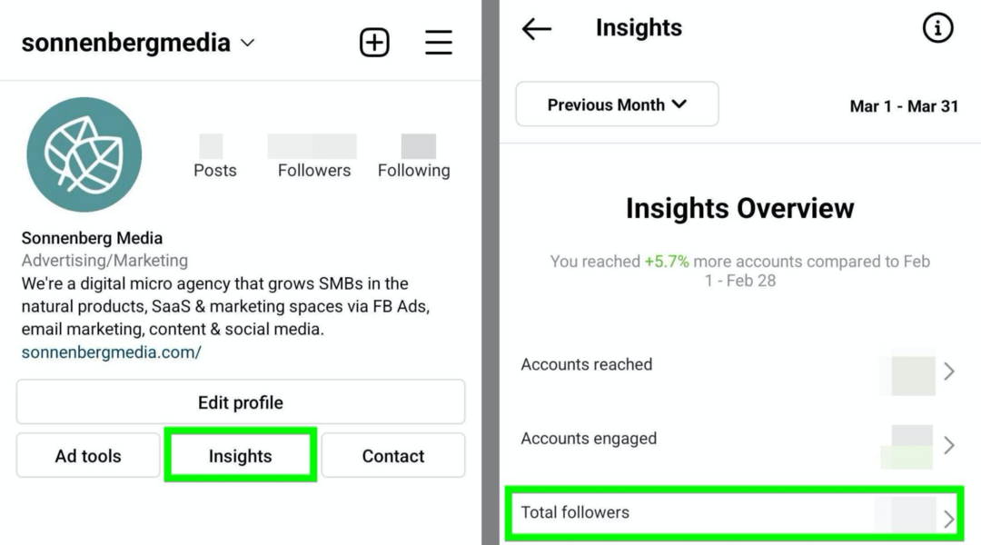 „Instagram Insights Total Followers“ parinkties vaizdas