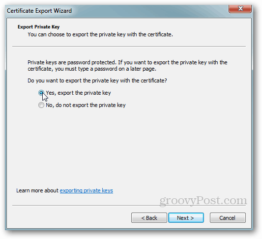 „Windows“ sertifikato eksportas - privatus raktas Taip