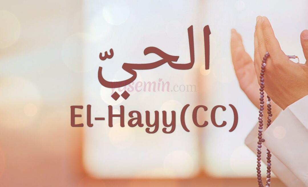 Ką reiškia El-Hayy (cc) iš Esma-ul Husna? Kokios yra Al-Hayy (cc) dorybės?