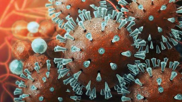 mers virusas pirmą kartą buvo pastebėtas 2003 m