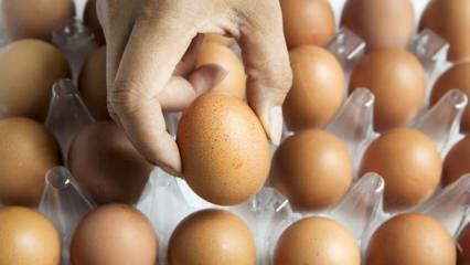 Praktiniai patarimai, kaip kiaušinius laikyti šviežius